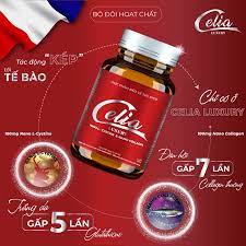 Celia luxury - quan điểm - Việt Nam - diễn đàn - xét lại 